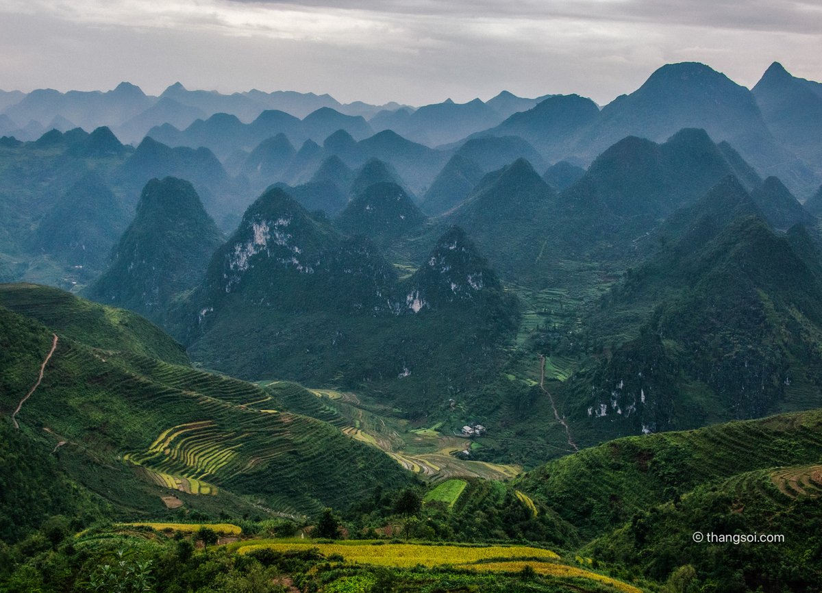 Bức ảnh chụp cảnh cao nguyên đá với các dãy núi và ruộng bậc thang xanh mướt dưới ánh sáng tự nhiên dịu nhẹ. Toàn cảnh mang lại cảm giác yên bình và hùng vĩ của thiên nhiên vùng cao nguyên.