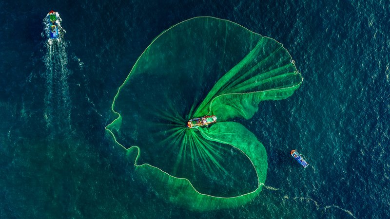 Bức ảnh chụp toàn cảnh trên không cho thấy hoạt động đánh cá cơm truyền thống tại vùng biển Phú Yên với các tàu cá và lưới đánh cá lớn. Hình ảnh mang lại cảm giác bình yên và tôn vinh nét đẹp lao động truyền thống của ngư dân Việt Nam.