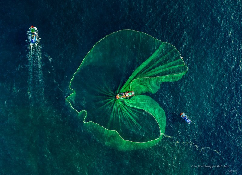 Đánh Cá Cơm - Phú Yên