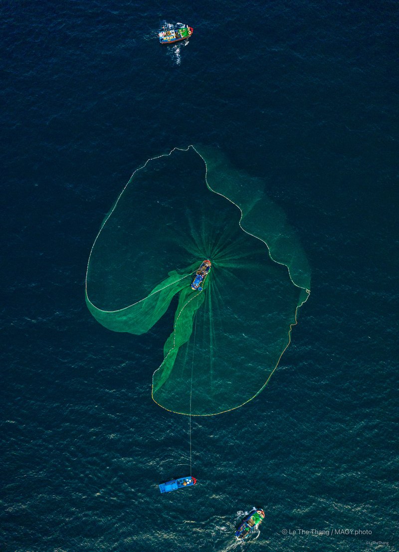 Đánh cá cơm - Phú Yên