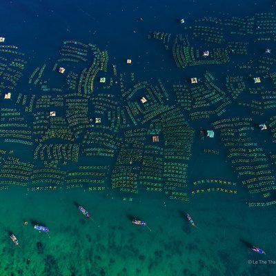 Hình ảnh toàn cảnh trên không của một trang trại tôm hùm ven biển với nhiều lồng nuôi và tàu thuyền trên mặt nước biển trong xanh. Cảnh quan mang lại cảm giác yên bình và trật tự trong hoạt động nuôi trồng thuỷ sản quy mô lớn.