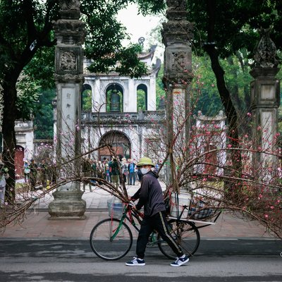 Bức ảnh chụp một người đang đẩy xe đạp chở nhiều cành đào huyền qua cổng Văn Miếu trong một ngày nắng nhẹ. Khung cảnh mang lại cảm giác yên bình và truyền thống, gợi nhớ không khí mùa xuân tại thủ đô.