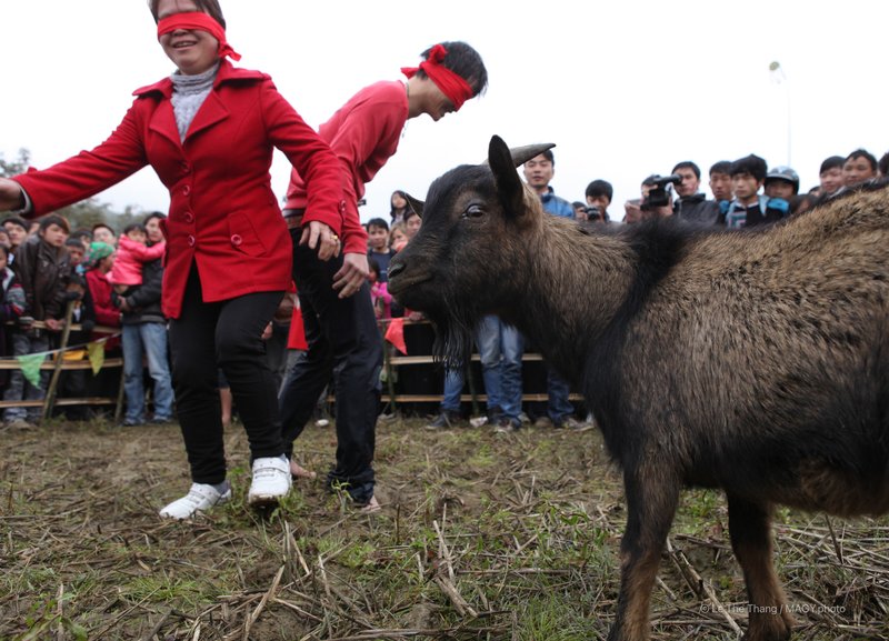 Bịt mắt bắt dê
