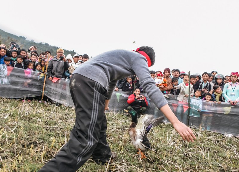 Bắt vịt - lễ hội xuống đồng