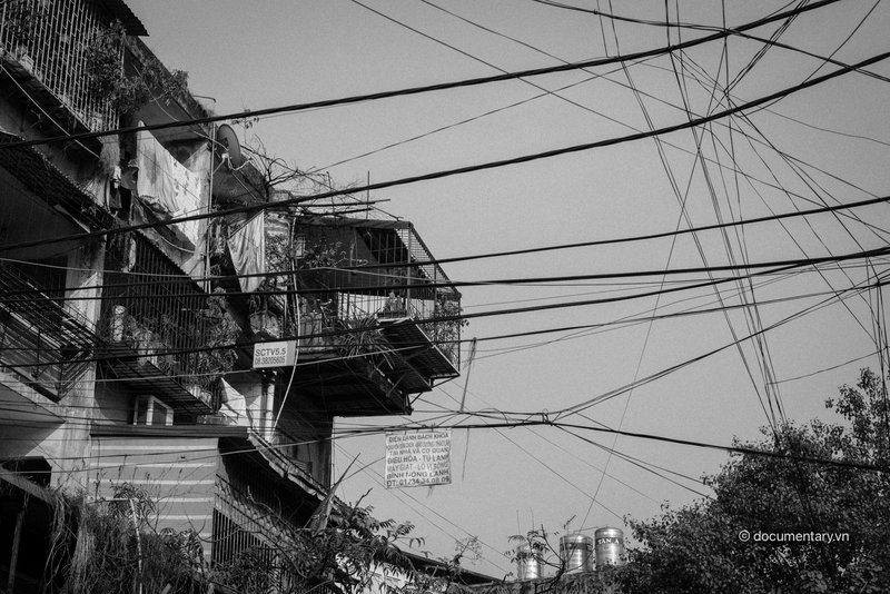 Chuồng cọp và mạng nhện