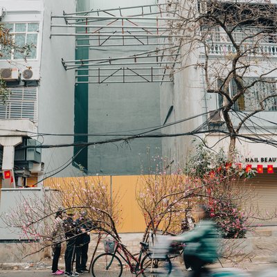 Bức ảnh chụp cảnh bán hoa đào trên đường phố Hà Nội với một nhóm người đang giao dịch gần các cây đào được gắn trên xe đạp. Hình ảnh tạo cảm giác bình dị và sống động của cuộc sống đô thị vào buổi sáng.