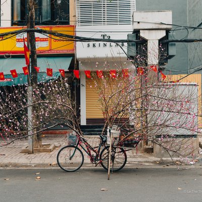 Hình ảnh một chiếc xe đạp được trang trí với nhiều cành hoa đào đang được trưng bày trên vỉa hè một con phố thành phố. Cảnh vật tạo cảm giác bình yên và truyền thống trong không gian đô thị hiện đại.