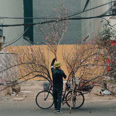 Bức ảnh chụp một người đàn ông đang bán hoa đào trên đường phố Hà Nội bằng xe đạp. Không khí yên bình và mang đậm nét truyền thống của mùa xuân tại thành phố.