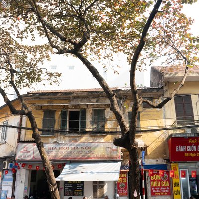 Bức ảnh chụp cây bàng lớn trước một quán bia hơi ở phố cổ Hà Nội với người dân ngồi trò chuyện bên dưới. Không gian mang lại cảm giác bình yên và gần gũi với cuộc sống thường nhật của thủ đô.