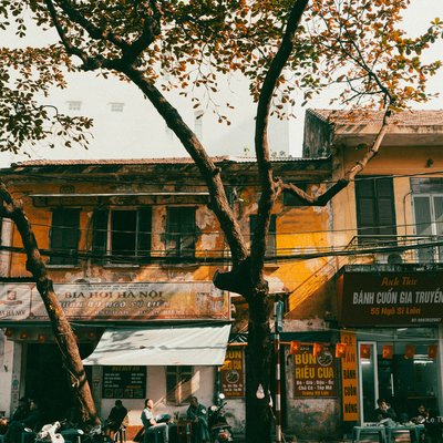 Bức ảnh chụp một cây bàng lớn trước các cửa hàng cũ kỹ trên phố Hà Nội với người dân ngồi ăn uống bên dưới. Không gian mang lại cảm giác bình yên và thân thuộc của cuộc sống thường nhật nơi phố cổ.