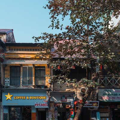 Bức ảnh chụp một cây bàng lớn bên cạnh các cửa hàng và quán cà phê trên một con phố ở Hà Nội. Cảnh vật mang lại cảm giác yên bình và nhộn nhịp của cuộc sống đô thị hàng ngày.