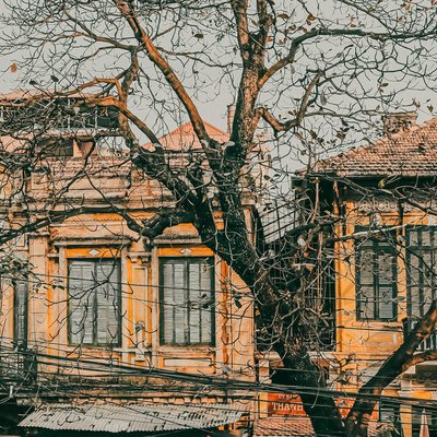 Bức ảnh chụp một cây bàng vào mùa đông với lá rụng gần hết, phía sau là các ngôi nhà cổ kính ở Hà Nội. Khung cảnh mang lại cảm giác hoài niệm và yên bình của phố cổ vào buổi chiều.