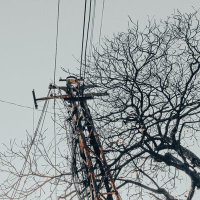 Bức ảnh chụp một cây bàng mùa đông với những cành cây trơ trụi bên cạnh cột điện cũ kỹ dưới bầu trời xanh nhạt. Hình ảnh tạo cảm giác yên tĩnh và hơi man mác buồn của mùa đông trong thành phố.