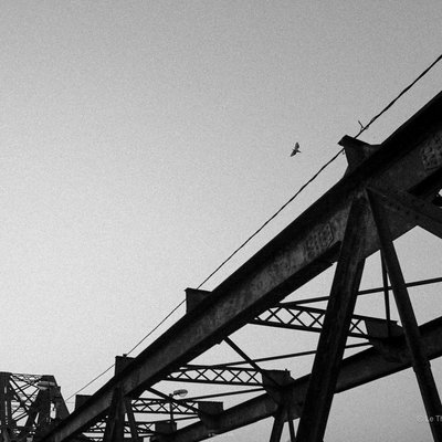 Bức ảnh chụp một phần của cầu Long Biên với cấu trúc kim loại đặc trưng và một con chim đang bay trên bầu trời. Hình ảnh mang lại cảm giác yên bình và tĩnh lặng trong không gian đô thị.