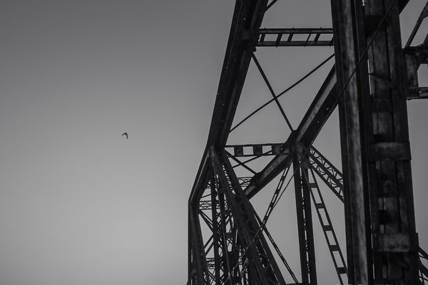 Hình ảnh thể hiện phần cấu trúc kim loại của cầu Long Biên với bầu trời rộng lớn phía sau và một con chim bay. Ảnh tạo cảm giác yên bình và tĩnh lặng, nhấn mạnh vẻ đẹp kiến trúc và không gian mở.