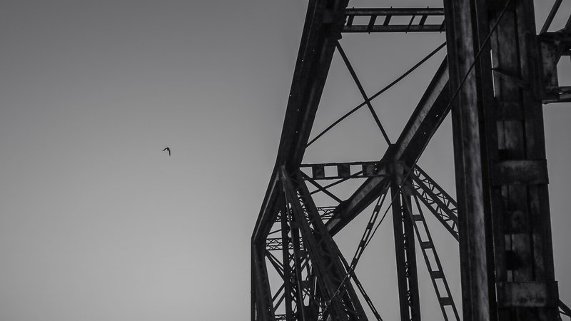 Hình ảnh thể hiện phần cấu trúc kim loại của cầu Long Biên với bầu trời rộng lớn phía sau và một con chim bay. Ảnh tạo cảm giác yên bình và tĩnh lặng, nhấn mạnh vẻ đẹp kiến trúc và không gian mở.