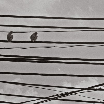 Bức ảnh chụp hai con chim đang đậu trên dây điện trong một khung cảnh thành phố với bầu trời nhiều mây. Cảm giác tổng thể mang đến sự yên bình và tĩnh lặng trong một khoảnh khắc thường nhật.