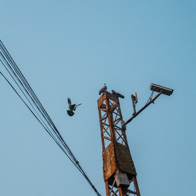 Hình ảnh chụp một cột điện bằng kim loại cũ với vài con chim bồ câu đậu trên đỉnh và một con đang bay. Bầu trời xanh trong tạo cảm giác yên bình và tĩnh lặng cho cảnh vật đô thị này.