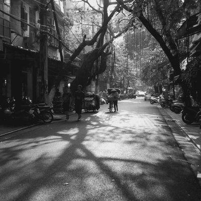 Bức ảnh đen trắng chụp một con phố ở Hà Nội với bóng cây phủ trên mặt đường và vài người đang di chuyển. Không gian mang lại cảm giác hoài niệm và yên bình của cuộc sống đô thị buổi sáng.