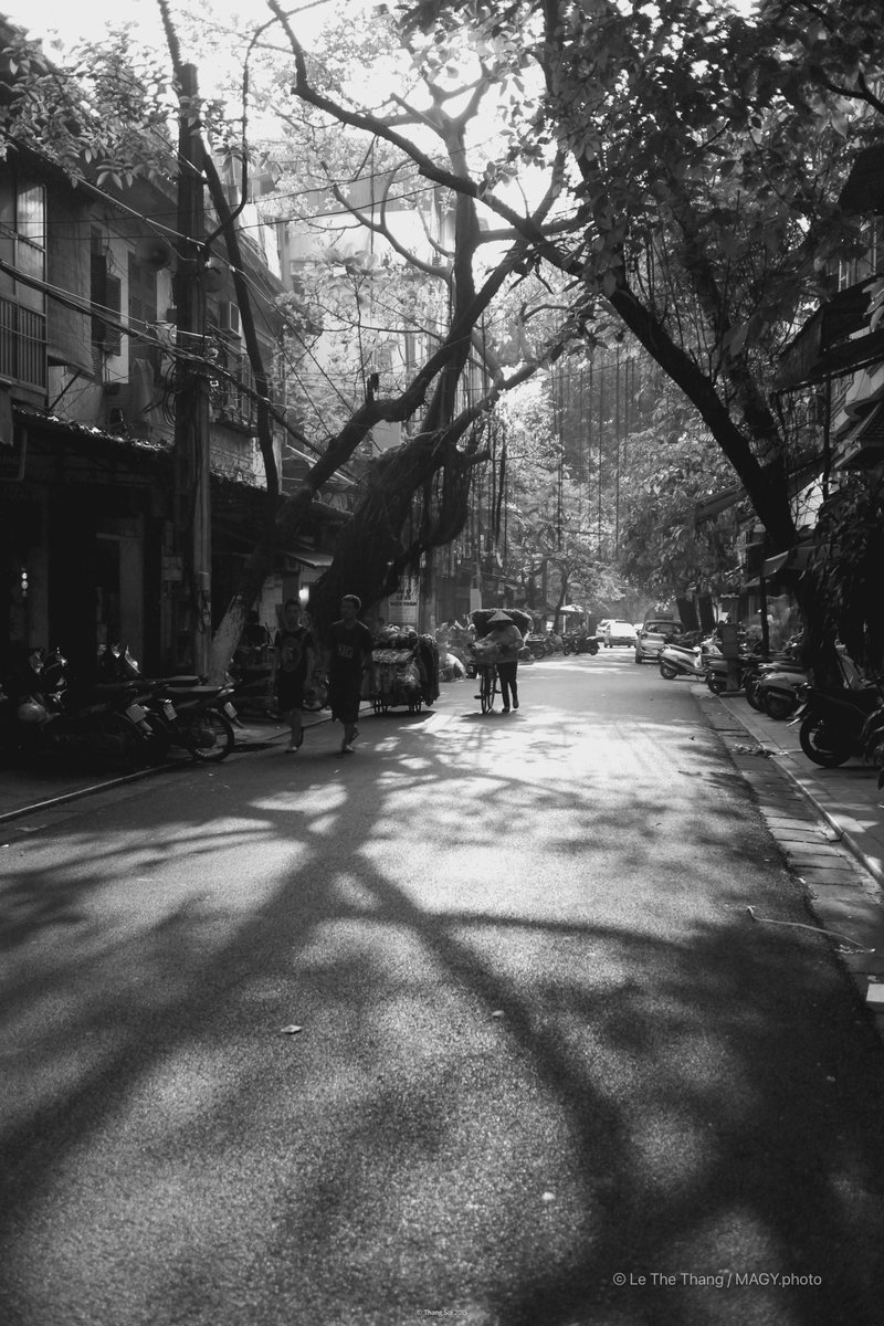 Hà Nội phố