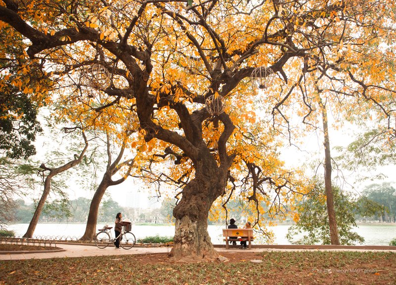 Hà Nội Mùa Xuân