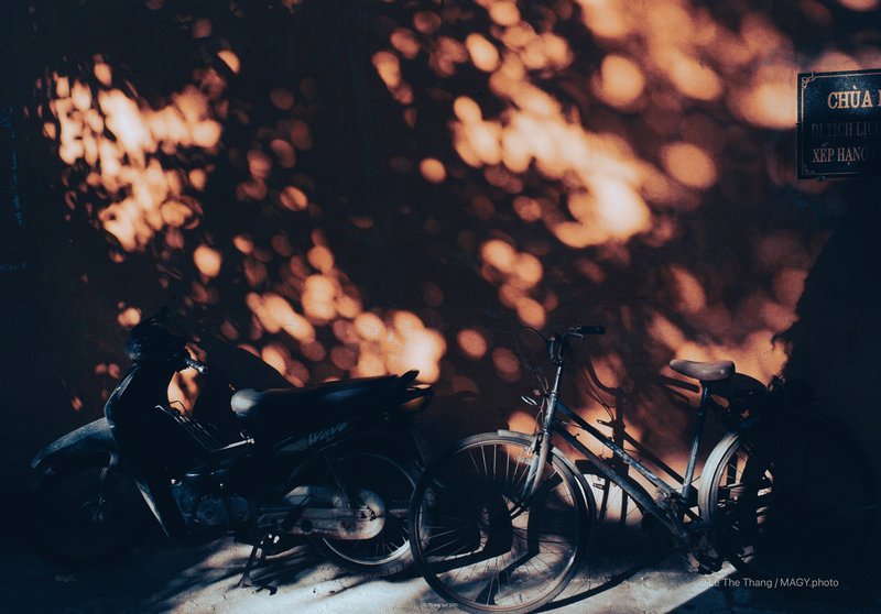 Nắng trên tường