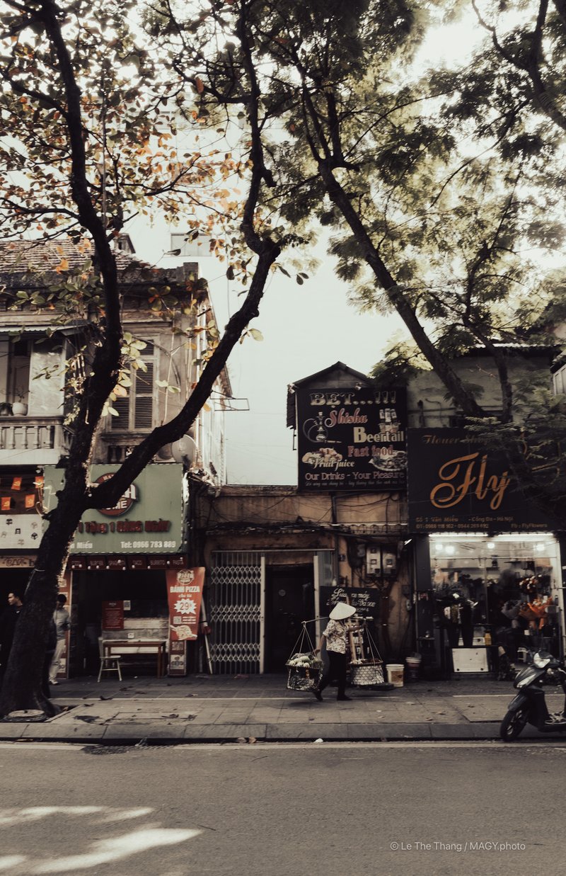 Phố Văn Miếu