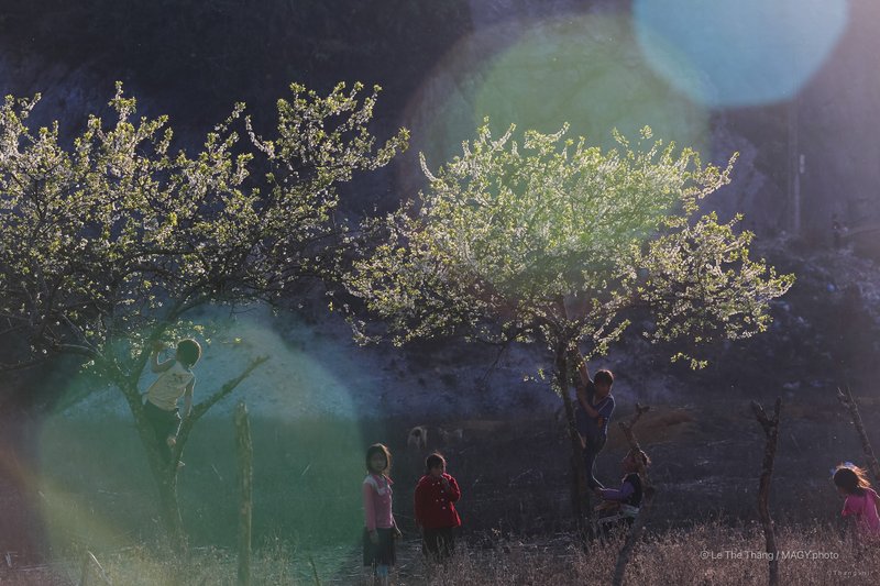 Thảo nguyên mùa xuân