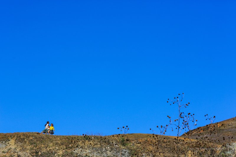 Mộc Châu mùa xuân