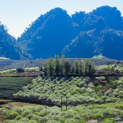 Bức ảnh chụp thảo nguyên vào mùa xuân với những đồi núi xanh mướt và hoa đào nở rộ. Khung cảnh mang lại cảm giác yên bình và tươi mới của vùng nông thôn.