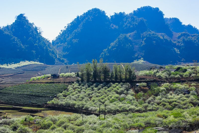 Thảo nguyên mùa xuân