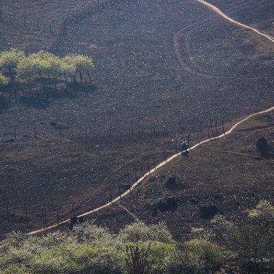 Bức ảnh chụp một con đường mòn nhỏ uốn lượn qua vùng đồi núi với cây cối thưa thớt. Cảnh vật mang lại cảm giác yên bình và tĩnh lặng của buổi sáng ở vùng nông thôn.