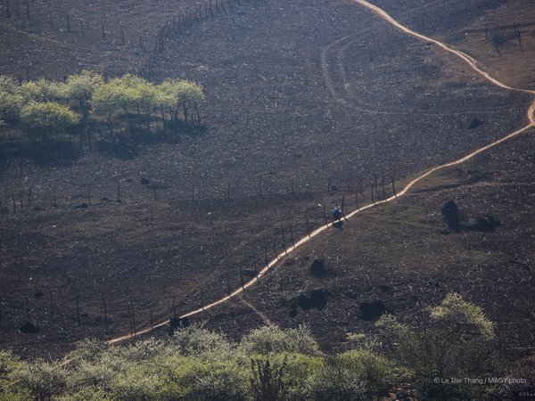 Bức ảnh chụp một con đường mòn nhỏ uốn lượn qua vùng đồi núi với cây cối thưa thớt. Cảnh vật mang lại cảm giác yên bình và tĩnh lặng của buổi sáng ở vùng nông thôn.