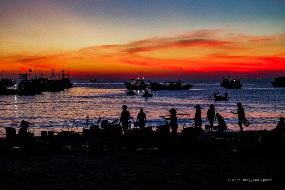 Bức ảnh chụp cảnh chợ cá Tam Tiến bên bờ biển Quảng Nam vào lúc hoàng hôn với những chiếc thuyền đánh cá và người dân đang làm việc. Khung cảnh tạo cảm giác yên bình và truyền tải nét đẹp của cuộc sống thường nhật miền Trung Việt Nam.
