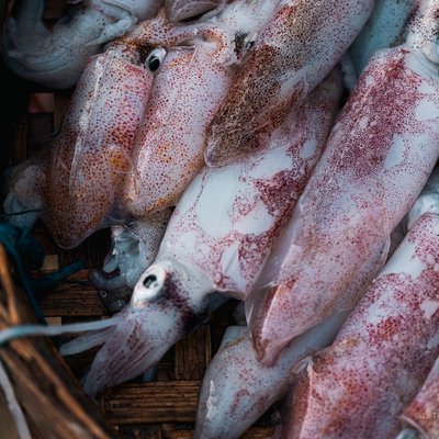 Hình ảnh chụp các con mực tươi được bày trong giỏ tại chợ cá Tam Tiến, Quảng Nam. Cảnh tượng này gợi lên cảm giác bình dị và truyền thống của một chợ hải sản miền Trung Việt Nam.