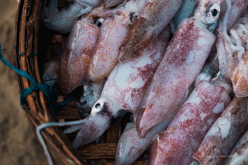 Chợ cá Tam Tiến - Quảng Nam