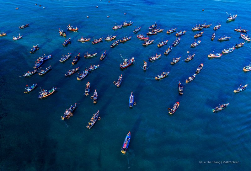 Chợ cá Tam Tiến - Quảng Nam