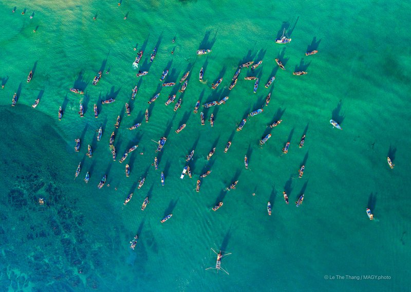 Chợ cá Tam Tiến - Quảng Nam