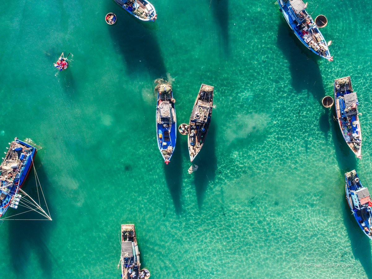 Hình ảnh chợ cá Tam Tiến tại Quảng Nam với các tàu cá neo đậu trên mặt nước biển trong xanh. Cảnh tượng mang lại cảm giác yên bình và truyền thống của cuộc sống ven biển miền Trung Việt Nam.