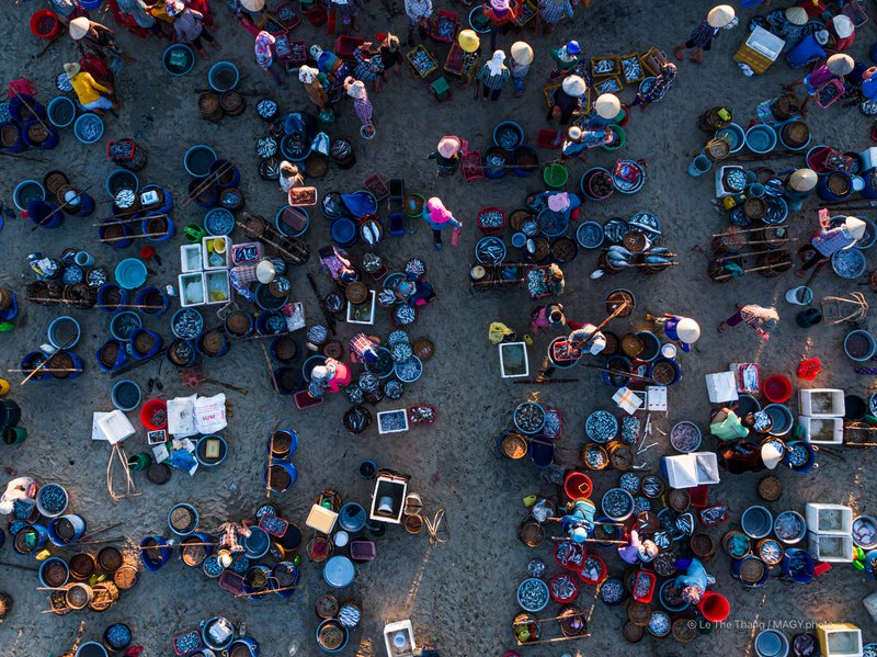 Chợ cá Tam Tiến - Quảng Nam