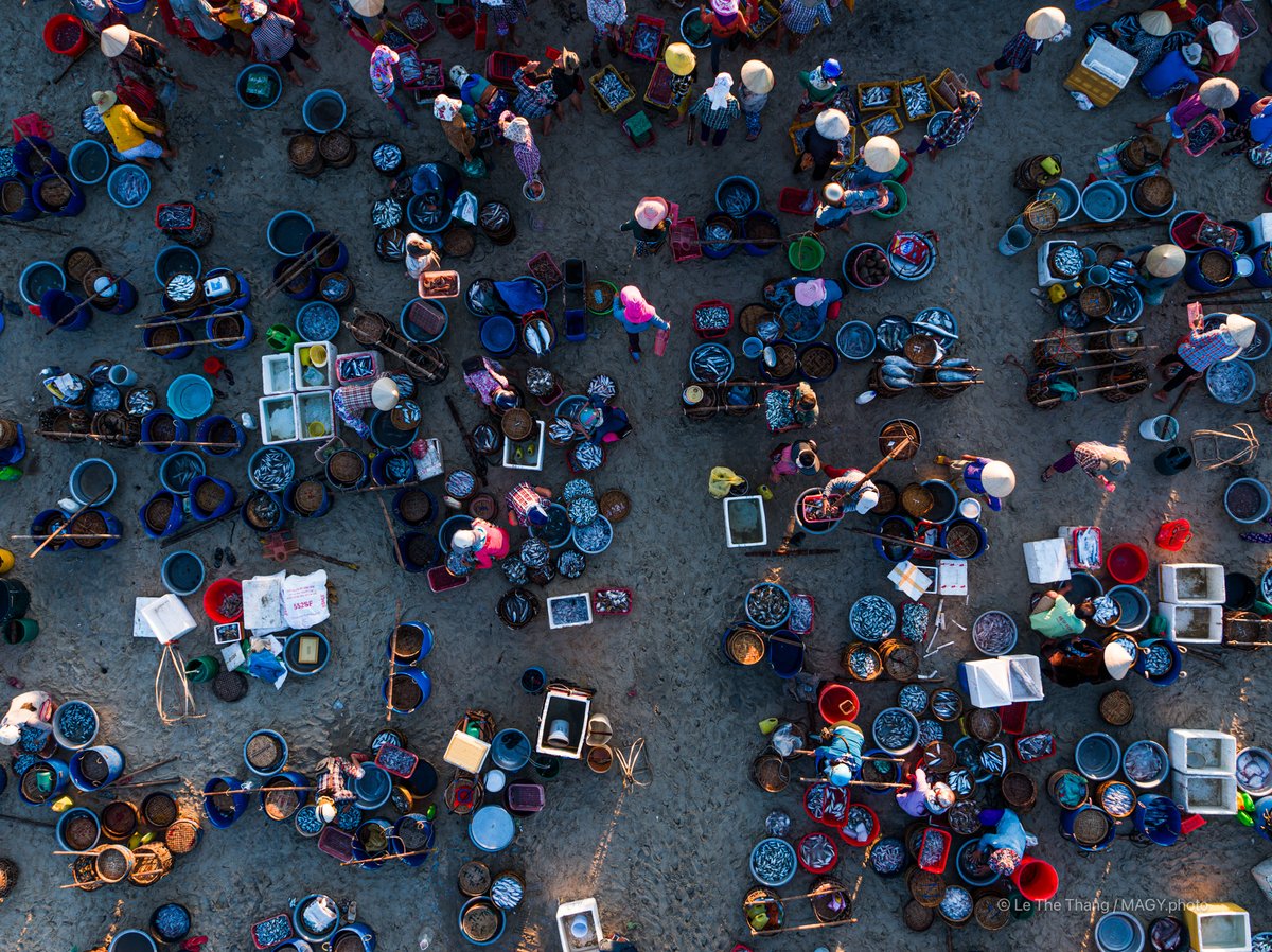 Ảnh chụp từ trên cao cho thấy chợ cá Tam Tiến nhộn nhịp với nhiều người bán và mua cá trên bãi biển. Không khí sôi động và đầy màu sắc tạo cảm giác sống động và truyền thống của miền Trung Việt Nam.