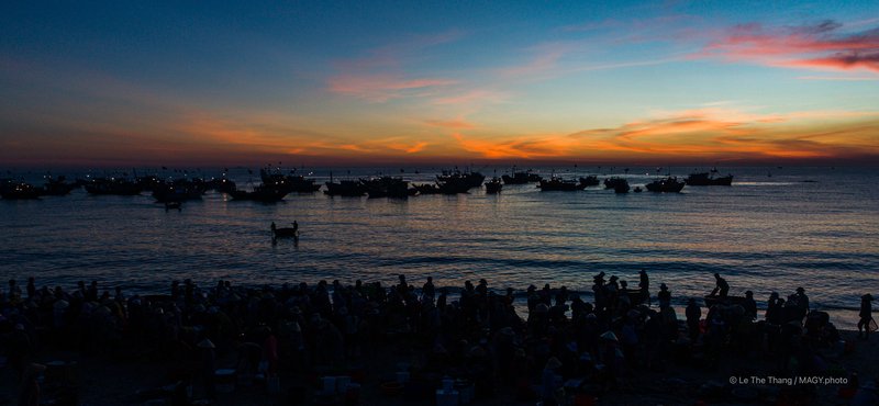 Chợ cá Tam Tiến - Quảng Nam