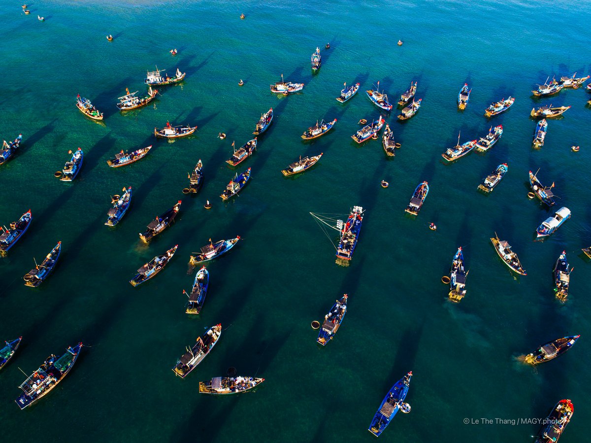 Ảnh chụp từ trên cao cho thấy nhiều tàu cá neo đậu trên vùng biển gần chợ cá Tam Tiến, Quảng Nam. Không khí sôi động và nhộn nhịp của một chợ cá truyền thống miền Trung được tái hiện rõ nét qua hình ảnh này.