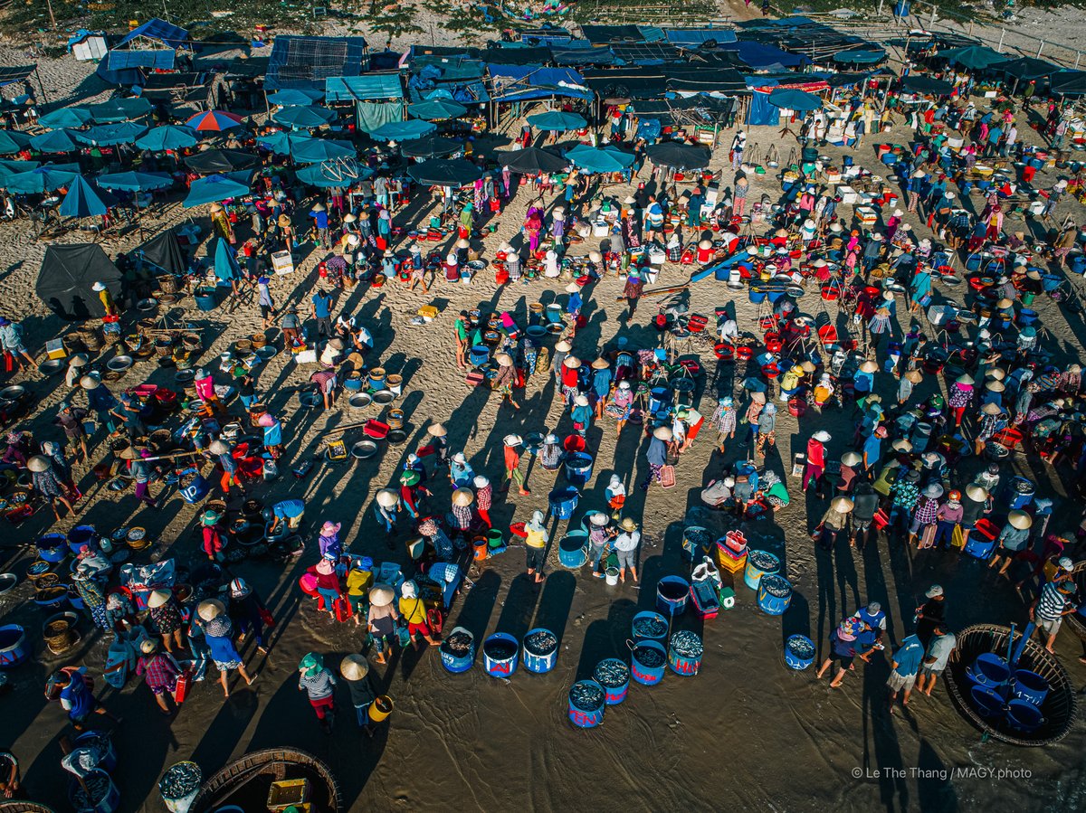 Hình ảnh chợ cá Tam Tiến ở Quảng Nam với nhiều người bán hàng và khách mua tấp nập trên bãi biển. Không khí sôi động và nhộn nhịp thể hiện nét văn hoá truyền thống miền Trung Việt Nam.