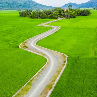 Hình ảnh cho thấy một con đường đất uốn lượn qua cánh đồng lúa xanh mướt rộng lớn ở vùng nông thôn. Cảnh quan mang lại cảm giác yên bình và tĩnh lặng của vùng quê.