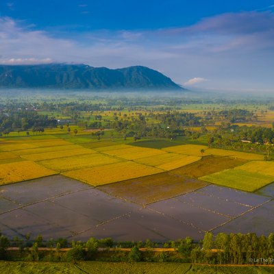 Bức ảnh chụp cảnh đồng ruộng rộng lớn với núi Bảy Núi ở phía xa, trời xanh và sương mù nhẹ vào buổi sáng. Khung cảnh mang lại cảm giác yên bình và thanh thản của vùng nông thôn miền Tây Nam Bộ.