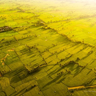 Hình ảnh chụp từ trên cao cho thấy cánh đồng lúa xanh trải dài tại Tịnh Biên, An Giang với ánh sáng ban chiều dịu nhẹ. Cảnh quan mang lại cảm giác yên bình và tĩnh lặng của vùng nông thôn đồng bằng sông Cửu Long.