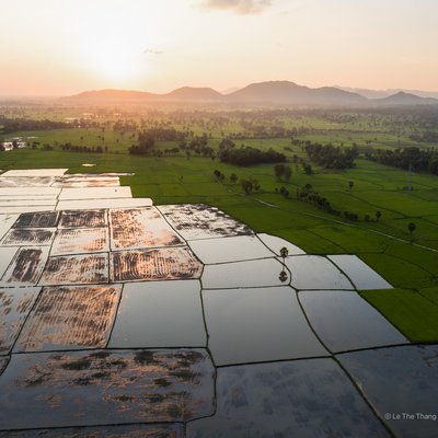 Ảnh chụp toàn cảnh đồng lúa ở Tịnh Biên, An Giang vào lúc hoàng hôn với ánh sáng dịu nhẹ. Cảnh vật mang lại cảm giác yên bình và tĩnh lặng của vùng nông thôn miền Tây sông nước.
