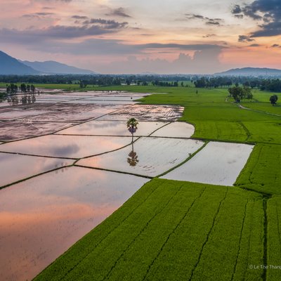 Bức ảnh chụp cảnh đồng lúa tại Tịnh Biên, An Giang vào lúc hoàng hôn với ánh sáng dịu nhẹ. Cảnh vật mang lại cảm giác yên bình và tĩnh lặng của vùng nông thôn miền Tây sông nước.
