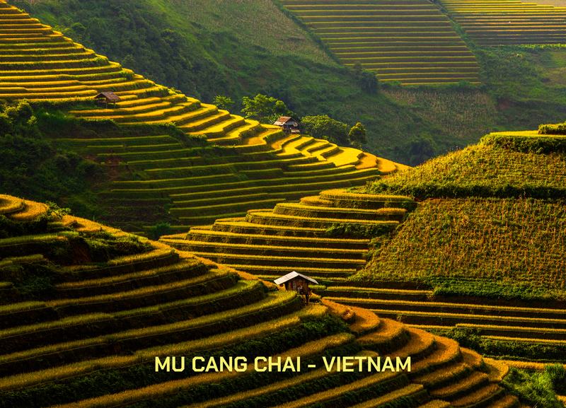 Ruộng bậc thang Mù Cang Chải 2012